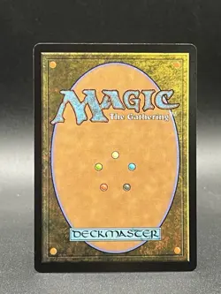 Sokka, Bold Boomeranger Avatar: The Last Airbender Foil - Image 2