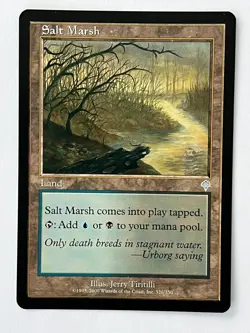 Salt Marsh - Invasion - Magic: The Gathering - MtG - Image 1