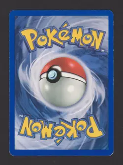 Raichu Holo 1ª Edizione Fossil 14/62 ITA - Carta Pokemon Rara Olografica - Image 3