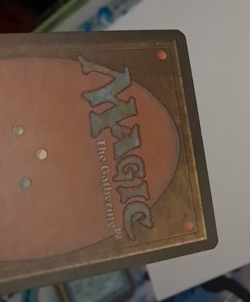 Force of Will LP MTG Magic the Gathering Alliances - Image 5