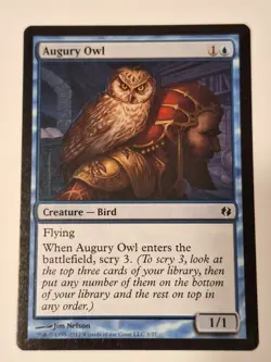 Augury Owl - Duel Decks: Venser vs. Koth - Magic the Gathering MTG Nice! - Image 1