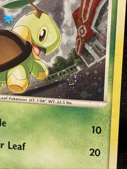 (SWIRL) Pokemon TCG - Turtwig 17/17 Lv. 10 - Pop Series 6 (2007) - Holo Rare LP - Image 2