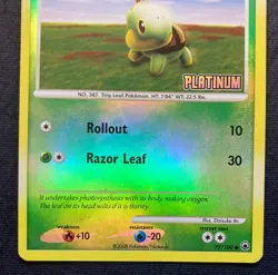 Pokemon TCG Turtwig 77/100 Platinum Set Reverse Holo Set Stamped - Image 3