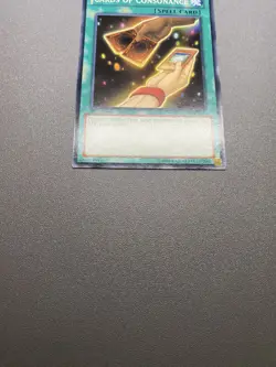 Yu-Gi-Oh! Cards Of Consonance Common 1st Edition SDBE-EN025 LP - Image 2