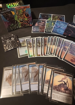 Heads I Win Tails You Lose Complete And Sleeved Deck MTG Secret Lair - Image 2