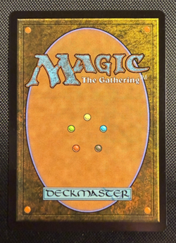 MTG Hei Bai Forest Guardian Foil M 0139 Avatar The Last Airbender TLE NM - Image 3