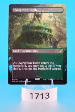MTG Overgrown Tomb (Borderless) Ravnica Remastered Regular #296 - Image 1
