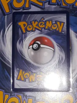 Terapagos EX 170/142 Special Illustration Rare Stellar Crown Pokemon TCG - Image 2