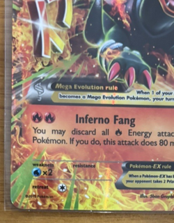 Mega M HOUNDOOM EX 22/162 XY BREAKthrough HOLO FULL ART Pokemon Y12 - Image 4