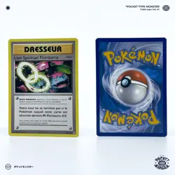 LIEN SPIRITUEL FLORIZARRE 89/108 Evolutions XY VF FR Carte Pokemon - Image 1