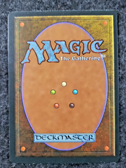 Aegis of the Meek Ice Age Rare - MTG Magic the Gathering Card (DS3D1L3) - Image 2