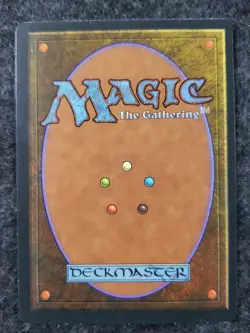 Aegis of the Meek Ice Age Rare - MTG Magic the Gathering Card (DS3D1L3) - Image 4