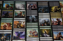 Magic the Gathering - Abzan Warrior Theme Deck - Tribal Combat Tricks - Image 4