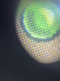 Void Winnower Battle for Zendikar Regular - Image 3