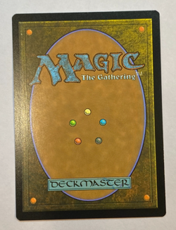 MTG - Snow-Covered Forest - White Border - NM - Mystery Booster 2 - Image 2