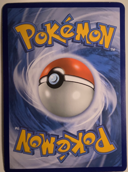 M Swampert EX XY87 JUMBO Cards Holo - Image 2