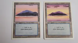 Lot Of 380 Basic Land Revised 3rd Edition MTG plus mystery bonus cards. - Image 3