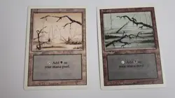 Lot Of 380 Basic Land Revised 3rd Edition MTG plus mystery bonus cards. - Image 5