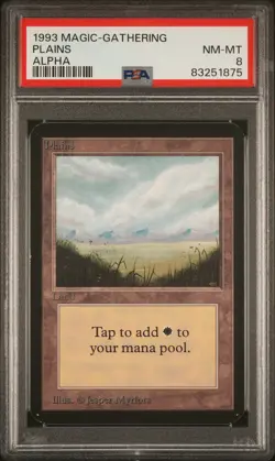 Plains (A) - Alpha - MTG - NM to Mint - PSA 8. More MTG in Store - Image 1