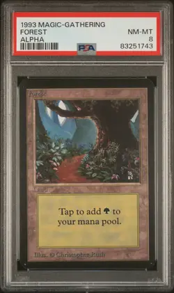 Forest - Alpha - MTG - NM to MINT - PSA 8. - Image 1
