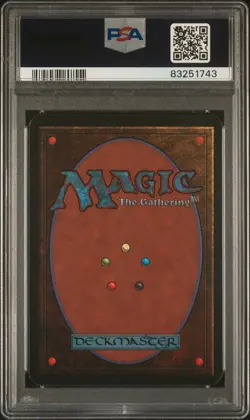 Forest - Alpha - MTG - NM to MINT - PSA 8. - Image 2