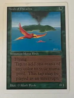 Magic the Gathering MTG Unlimited Birds of Paradise NM (Beta Bob) - Image 3