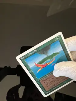 Magic the Gathering MTG Unlimited Birds of Paradise NM (Beta Bob) - Image 5