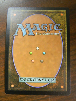 MTG Dragons Maze Foil Common Crypt Incursion Excellent - NM - Image 2