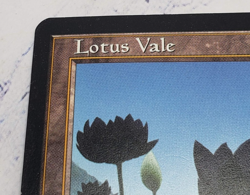 Magic The Gathering Lotus Vale Weatherlight - Image 5