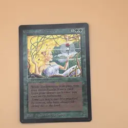 1993 MTG Beta Verduran Enchantress Limited Edition Near Mint, Use MTG - Image 4