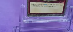 2000 ALICESOFT Trading card HAREM MASTER Ver. 1.0 Laezas Holy Sword TCG Japan - Image 5