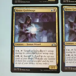 4x House Guildmage - Guilds of Ravnica - MTG Magic the Gathering - Image 4