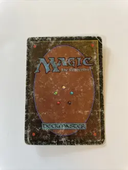 Magic the Gathering Revised Savannah Lions MTG - Image 2