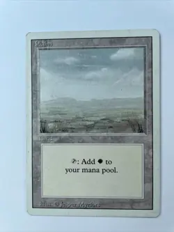 Plains - Unlimited MTG - Magic the Gathering - Image 1