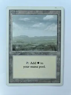 Plains - Unlimited MTG - Magic the Gathering - Image 1