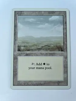 Plains - Unlimited MTG - Magic the Gathering - Image 1