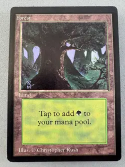Forest 302 (C) MTG Limited Edition Beta-Lightly Played EX-Vintage Magic - Image 1