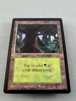 Forest 302 (C) MTG Limited Edition Beta-Lightly Played EX-Vintage Magic - Image 3