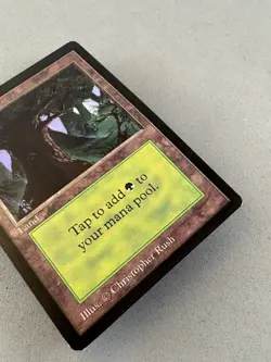 Forest 302 (C) MTG Limited Edition Beta-Lightly Played EX-Vintage Magic - Image 4