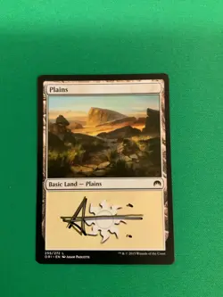 MTG Magic Plains 255 Signed F&B Artist Proof x1 Origins Adam Paquette - Image 1
