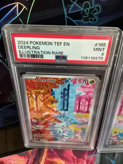 2024 Pokemon Deerling/Sawsbuck En TEF Illustration Rare PSA 9 - Image 2