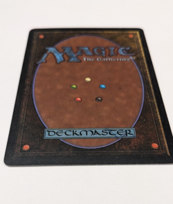 Scrubland Revised Edition Regular - Image 4