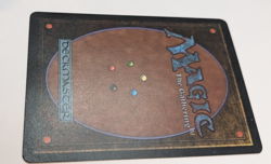 Scrubland Revised Edition Regular - Image 5