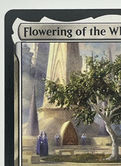 MTG Flowering of the White Tree LTR #015 Lord of the Rings Magic LOTR non-foil - Image 3