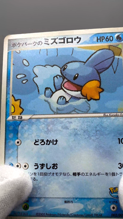 Poke Park's Mudkip 003/009 Premium Files Forest 2005 Japanese Pokemon Card LP - Image 2