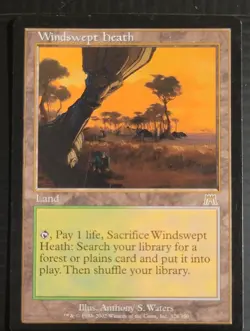 Mtg WINDSWEPT HEATH LP Onslaught 328/350 -Argo- - Image 1