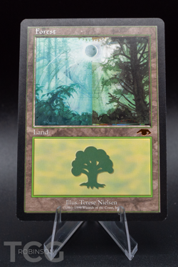 Forest - Magic the Gathering - Guru Lands Regular - Image 1