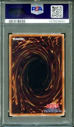 PSA 10 - Dark Magician 711C-JP001 711 Promo - Japanese Yugioh - Image 2