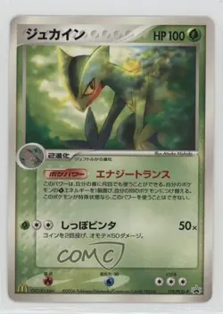 Sceptile Japanese Black Star Promos Pokemon PCG Era PCG-Promo #119/PCG-P 2004 - Image 1