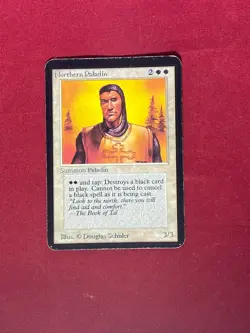 MTG Northern Paladin Alpha Magic the Gathering - Image 1